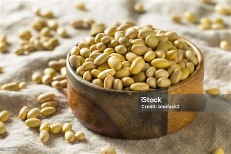 are mayocoba beans similar to navy beans